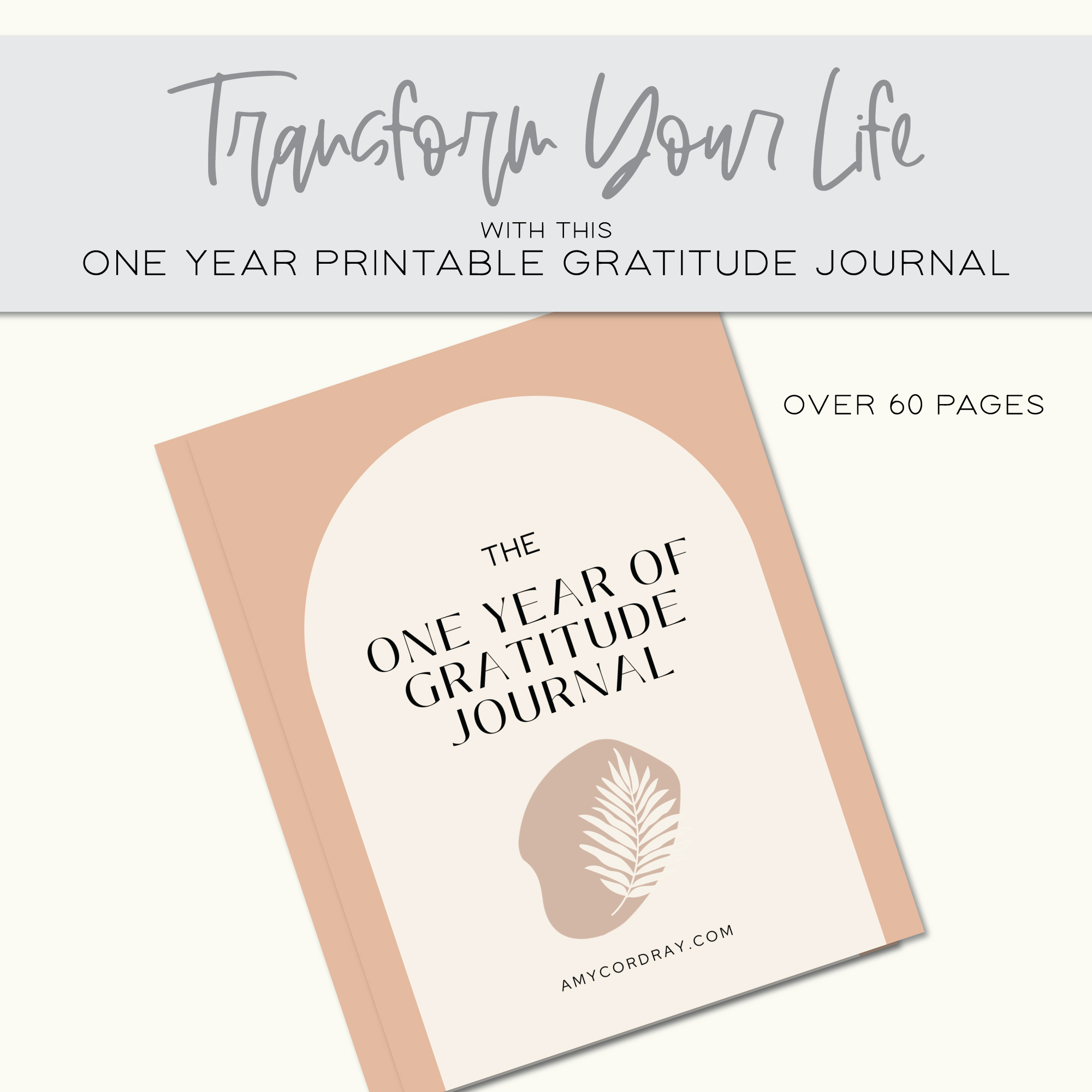 a year gratitude journal