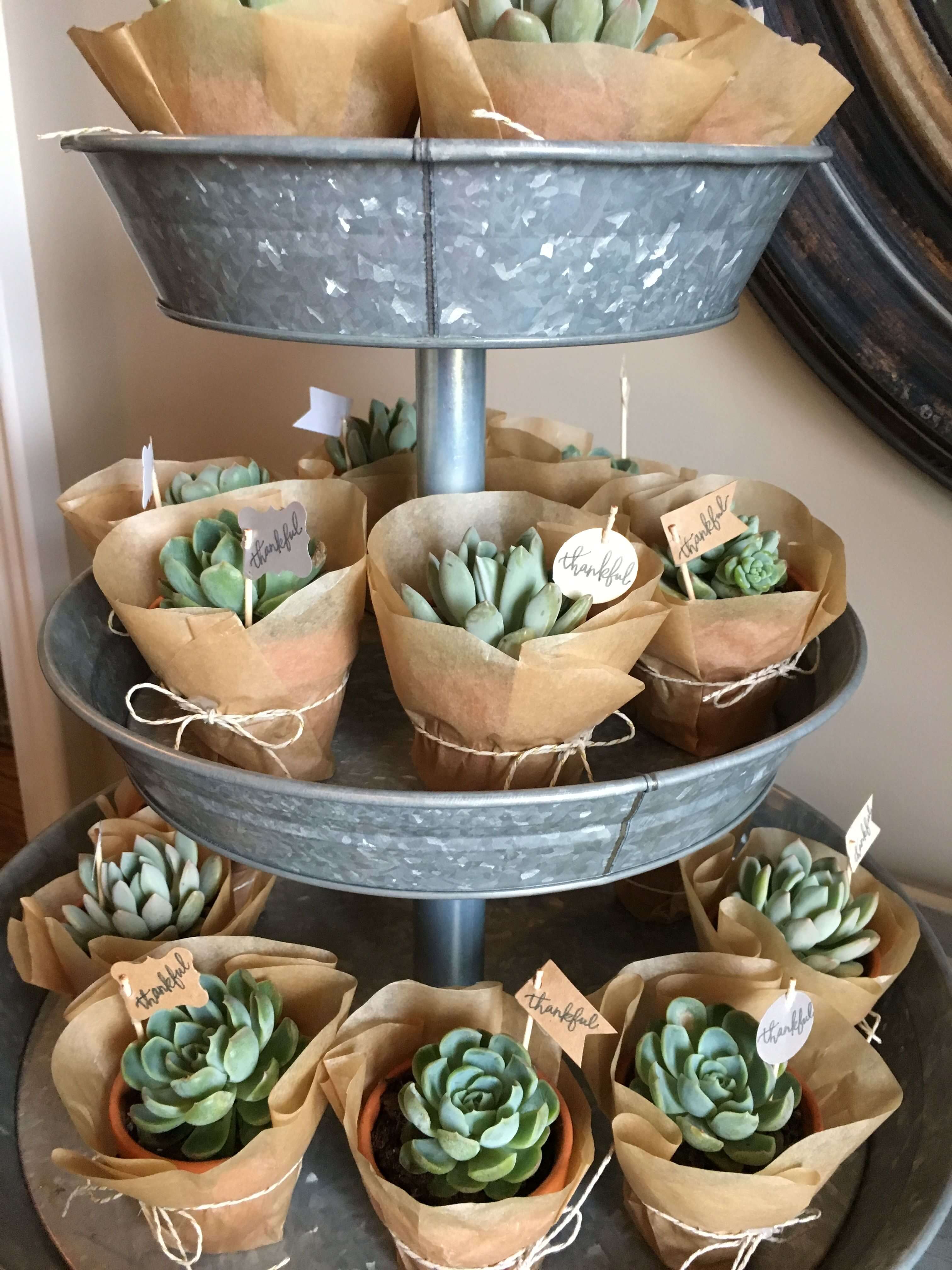 Cute Succulent Cactus Party Ideas For A Baby Shower Or 