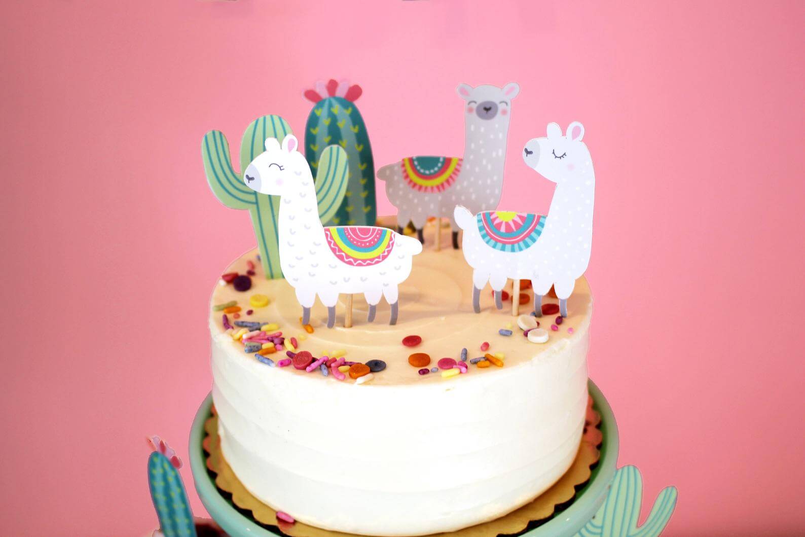 Llama party cake ideas