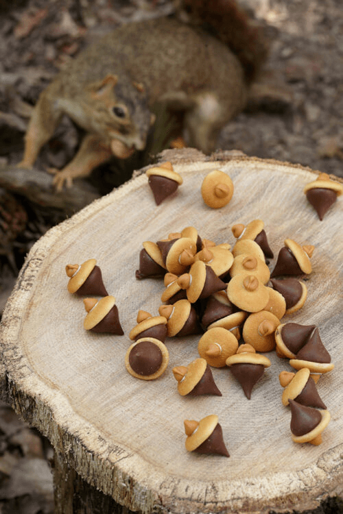 favors for woodland baby shower